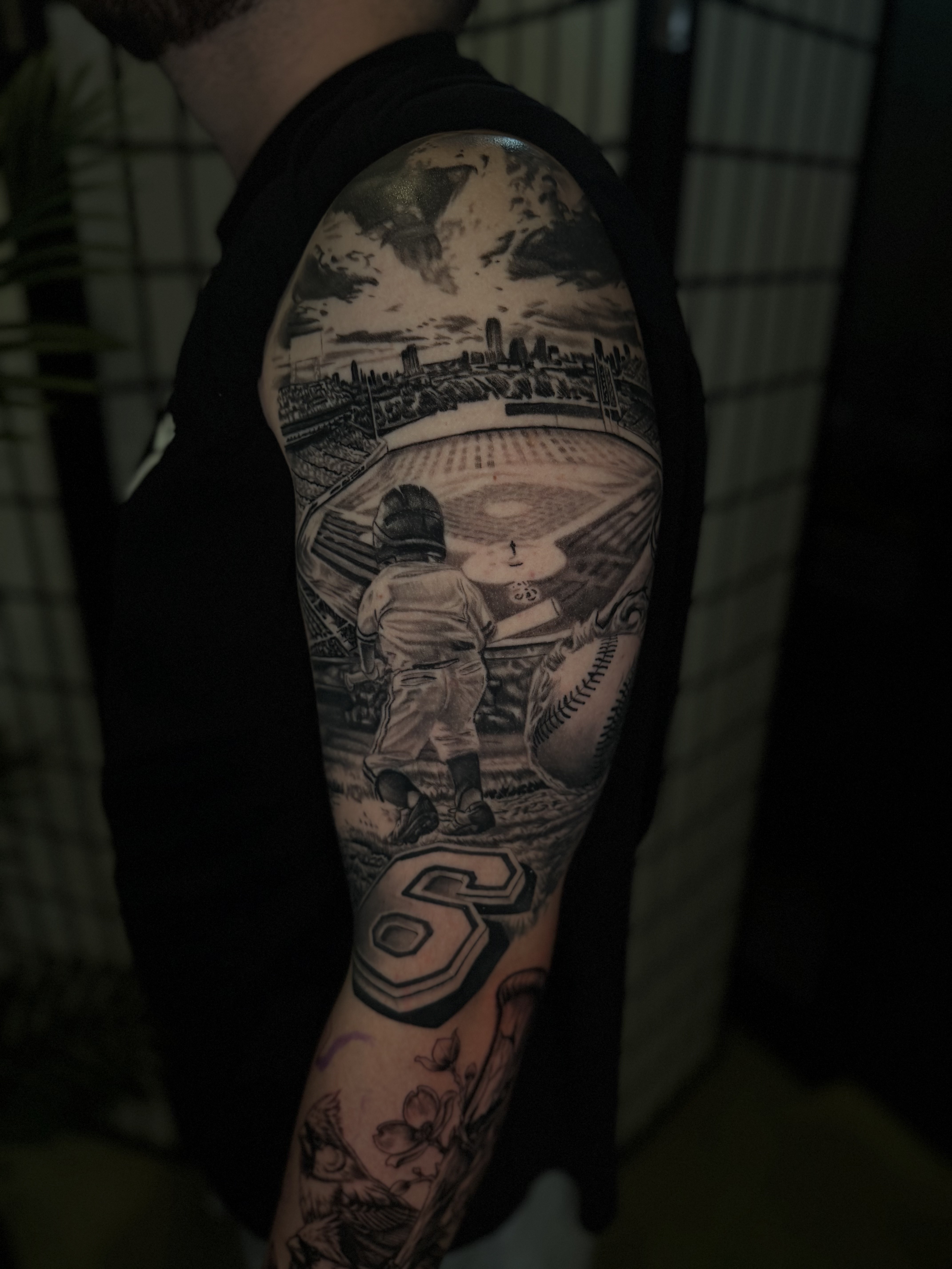 Ballpark Dreams — sports realism · full sleeve