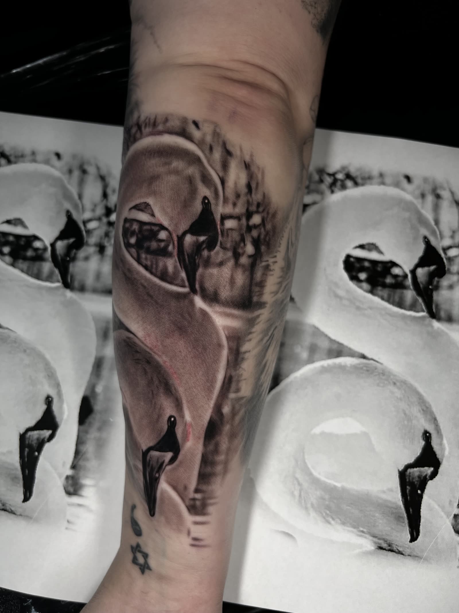 Tattoo by Andrew Carter